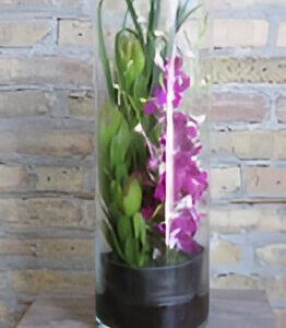 Purple flowers in tall glass vase.