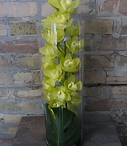Yellow flowers in a tall glass vase.